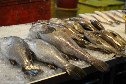 day-market-Hua-Hin