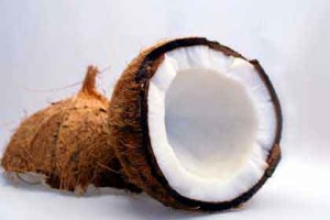 coconut