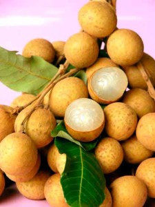 longan-Thailand