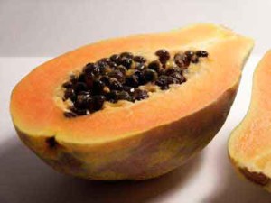 papaya