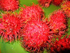 rambutan