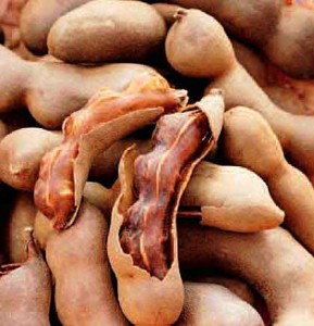 tamarind