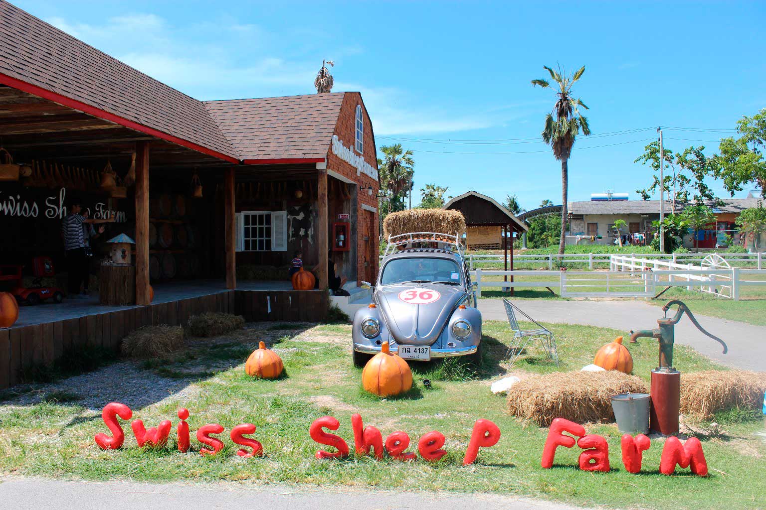 Swiss sheep farm в Хуа Хине Овечья ферма в Хуа Хине